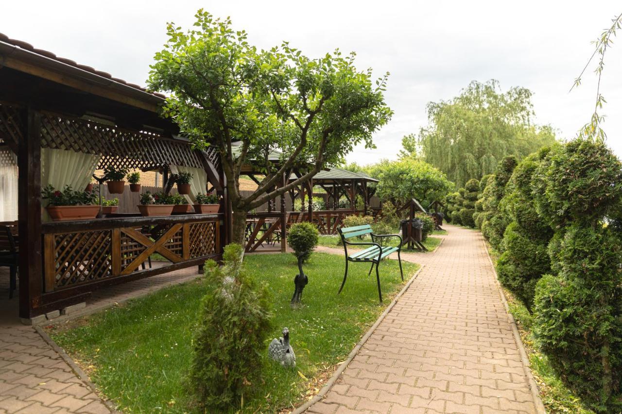 Complex Turistic Darina Sancraiu De Mures Zewnętrze zdjęcie